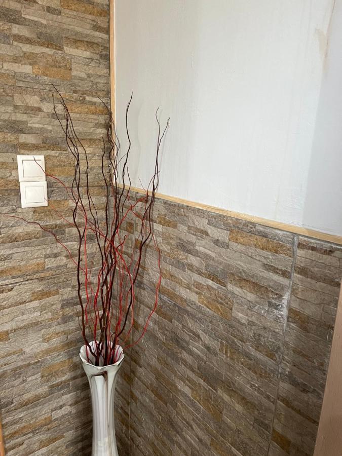 Spáta Luxury House 15 Minutes From Ath 빌라 외부 사진