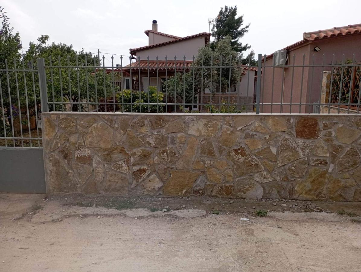 Spáta Luxury House 15 Minutes From Ath 빌라 외부 사진