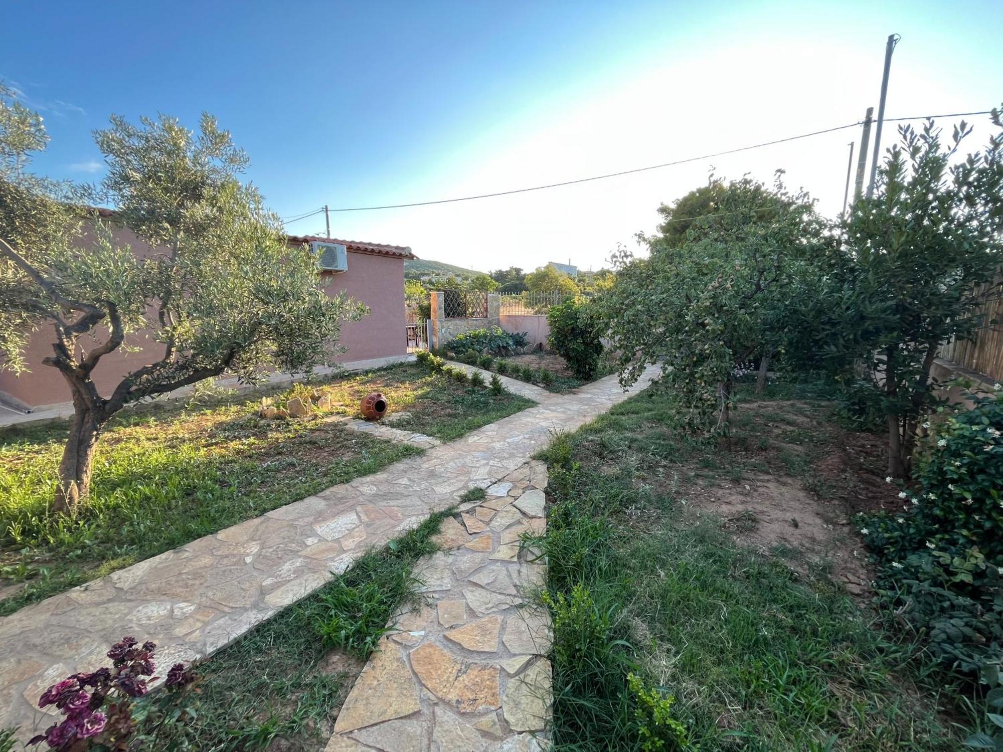 Spáta Luxury House 15 Minutes From Ath 빌라 외부 사진